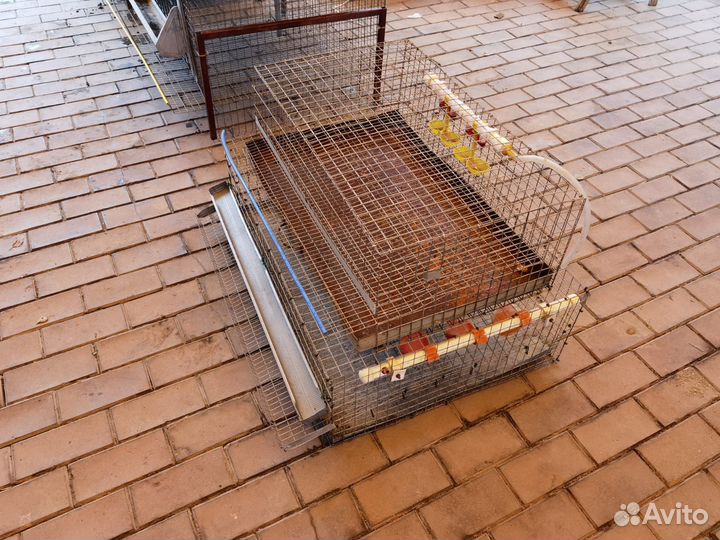 Клетки для перепелов, куриц и бройлеров бу