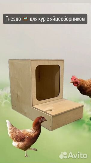 Гнездо для кур с яйцесборником