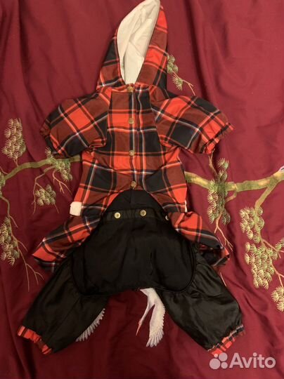 Костюм для собаки