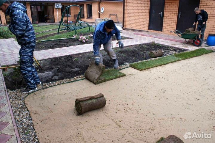 Рулонный газон с укладкой