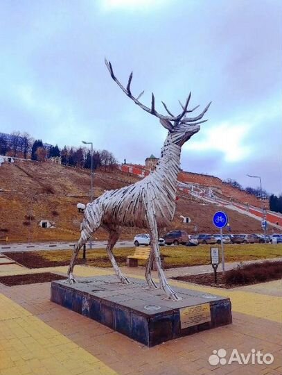 5авг24 Тур в Н.Новгород /хп309801