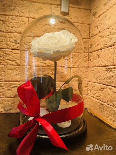 Вечная роза в колбе