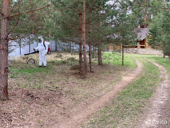 Обработка участка от клещей