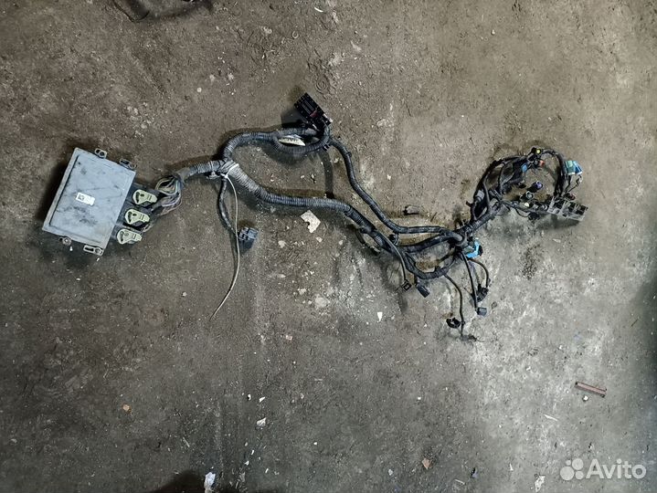 Проводка двигателя форд фокус 3 1.6 125 лс робот