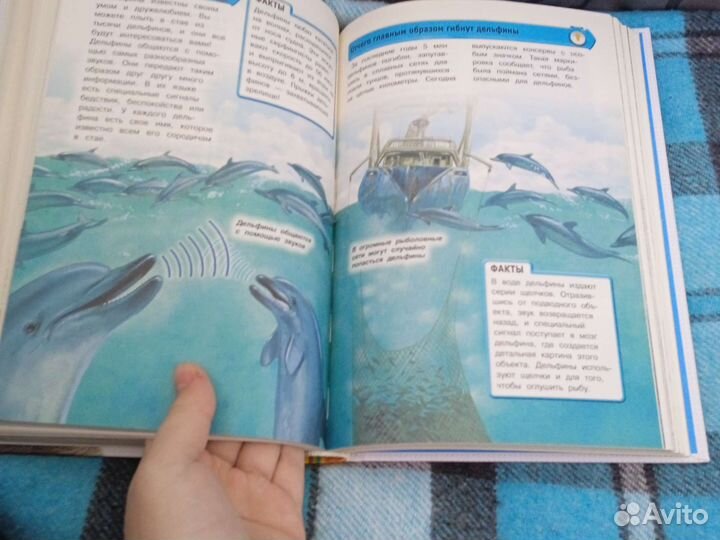 Детская энциклопедия