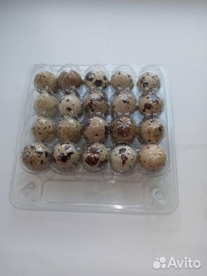 Яйца перепелиные