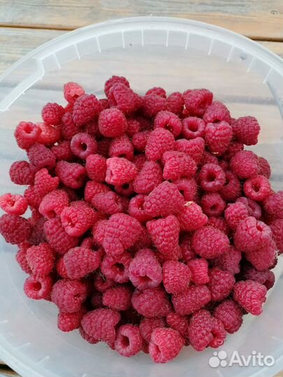 Малина ягода излишки из сада