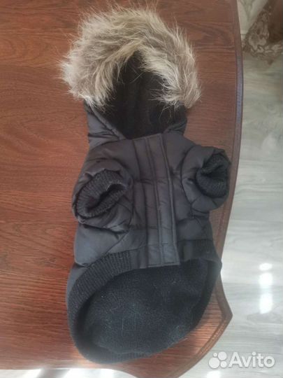 Одежда для собак