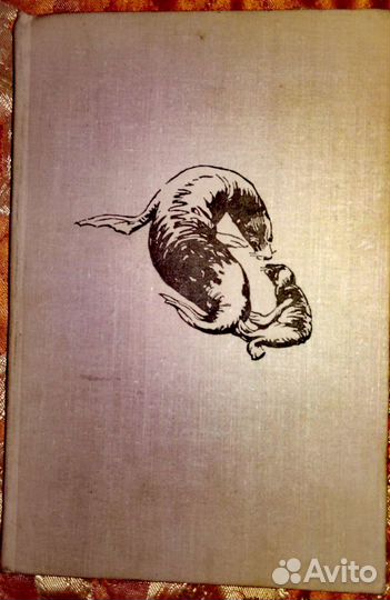 Редкие животные, птицы СССР