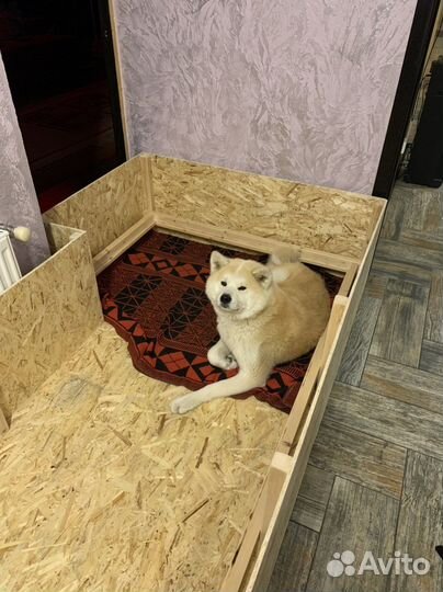 Родильный домик / ящик