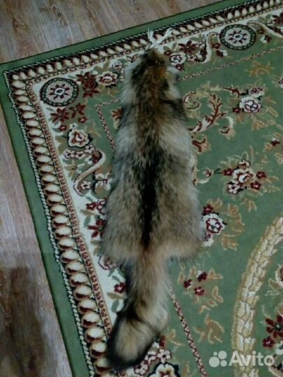 Шкурка енота