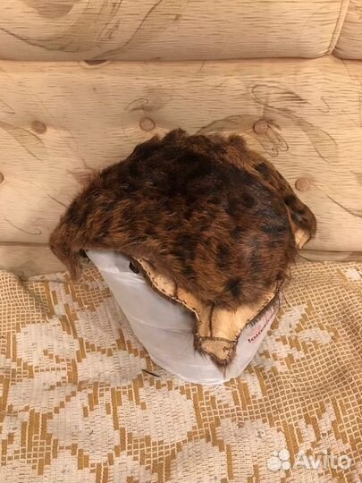 Шкурки нутрии