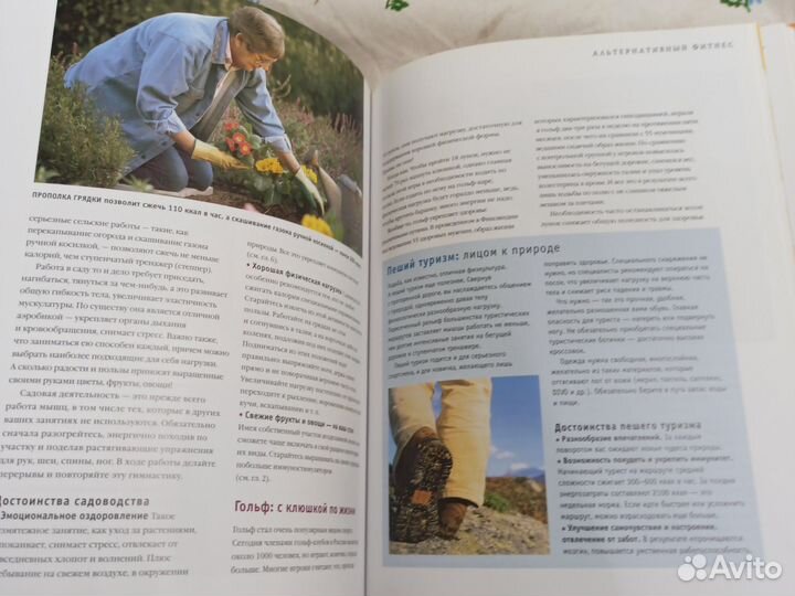 Иммунитет: как укрепить оборону 2008