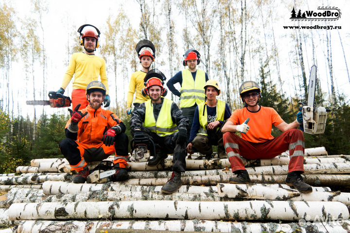 Оператор бензопилы, разнорабочий, помощник