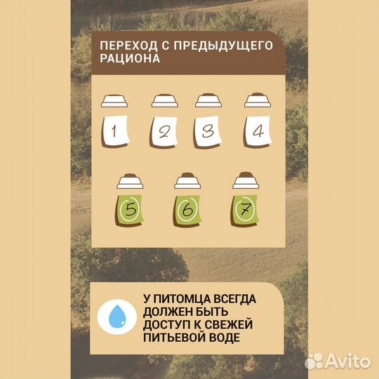 Сухой корм для собак Glance с рыбой и рисом 20 кг