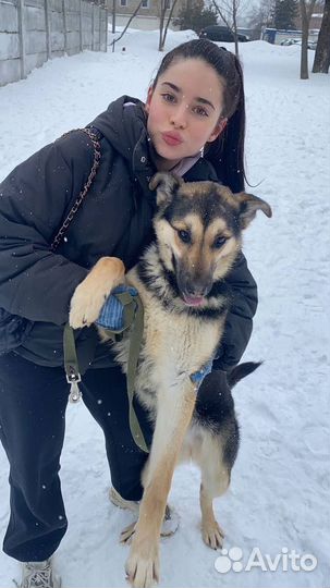 Красотка Джейна бесплатно