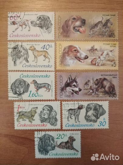 Марки собачки Монеты 1986