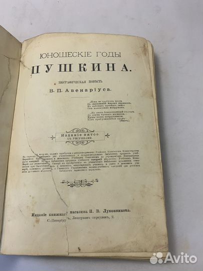 Юношеские годы Пушкина. Биографическая повесть