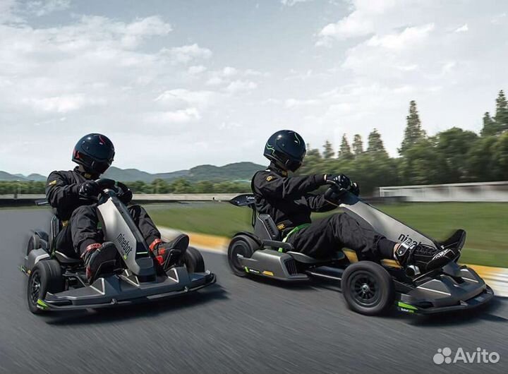 Ninebot GoKart Pro