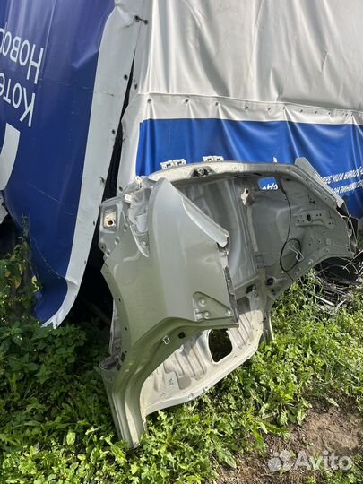 Rio x-line задняя часть жопа