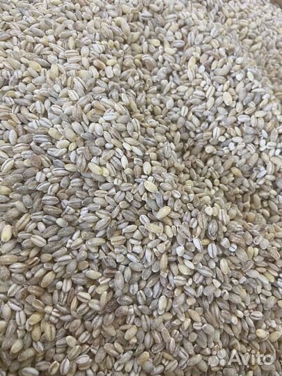 Крупа перловая