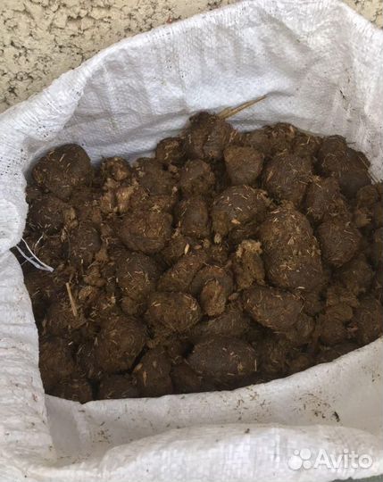 Конский навоз