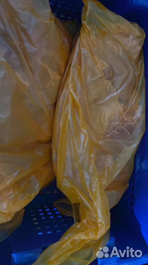 Куриная Шаурма «Халяль» гост