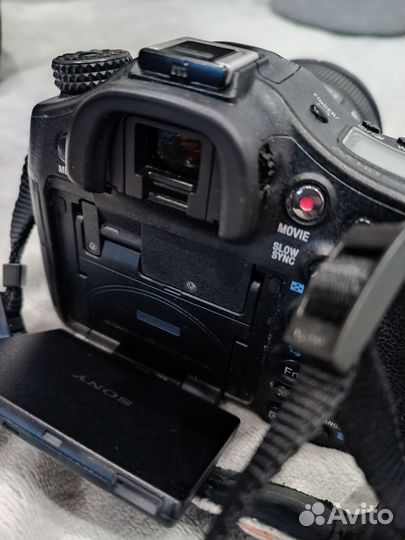 Sony A99 + Sigma 85 1.4