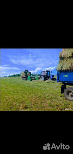 Сено в тюках 2023