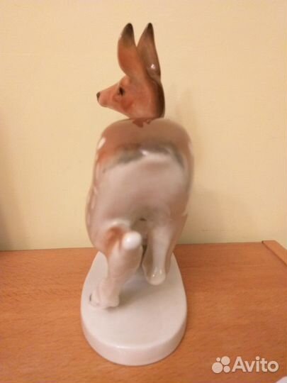 Лапка Хуа-лу