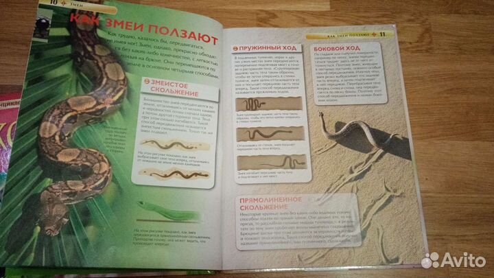 Детская энциклопедия