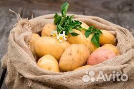 Картофель/ доставка