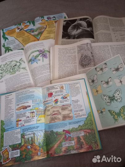 Книги по биологии Биология учебник советские