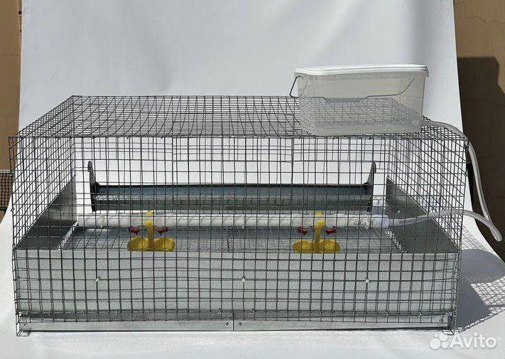 Клетки для кур бройлеров