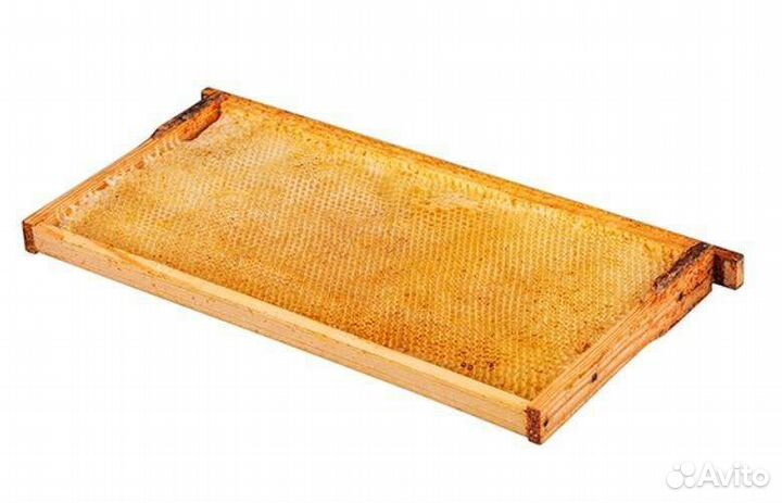 Рамки суш рута