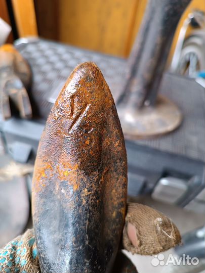 Лапа сапожная