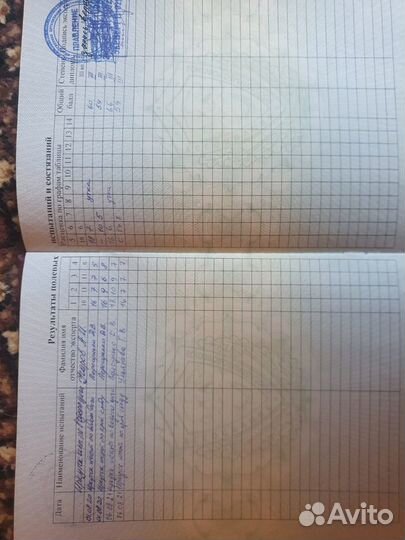 Дратхаар вязка