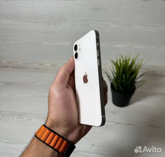 iPhone 12, 256 ГБ