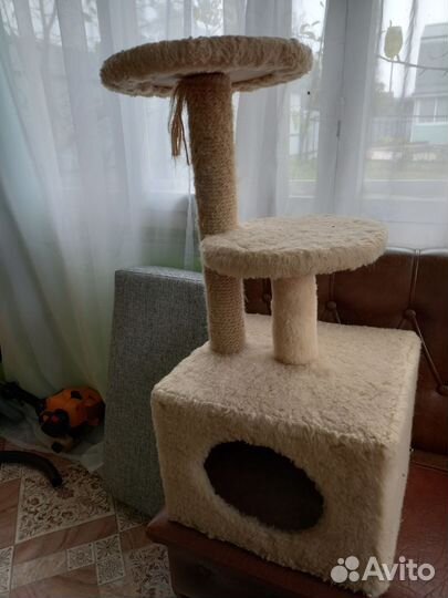 Когтеточка