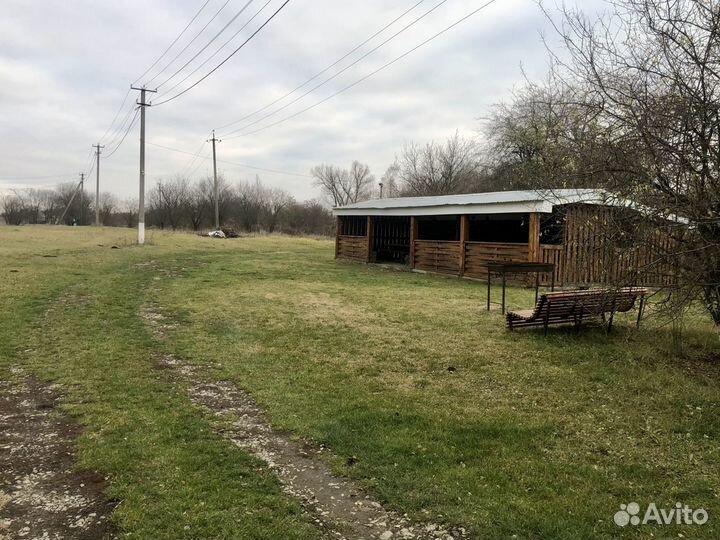 Рыбалка отдых