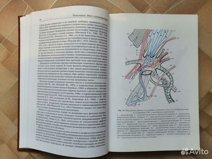 Болезни периферической нервной системы. Я. Ю. Попе