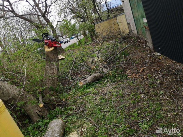 Спил деревьев. Копка земли. Демонтаж