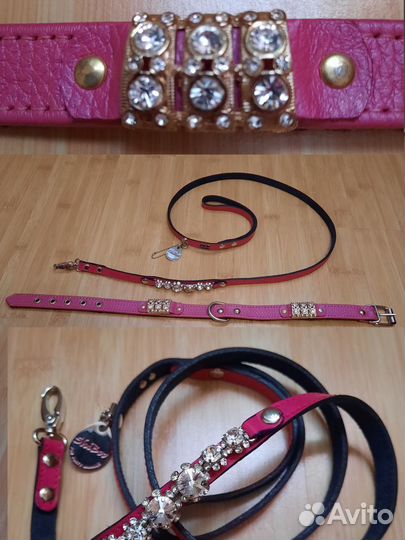 Красивые и стильные ошейники для собак