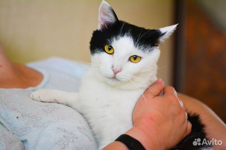 Мальчик-красавчик