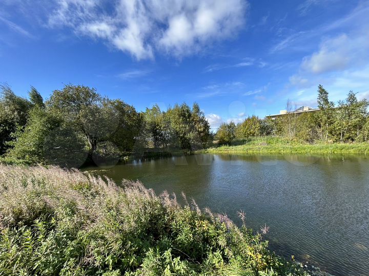 Участок 6,9 сот. (СНТ, ДНП)