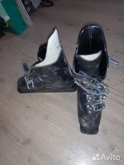 Горные лыжи