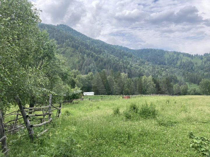 Участок 13,09 га (СНТ, ДНП)