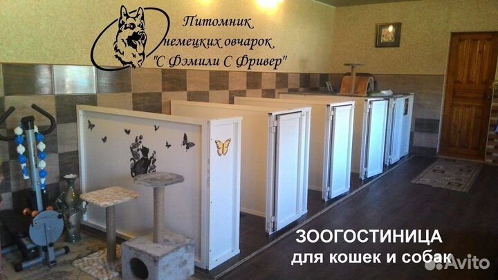 Зоогостиница
