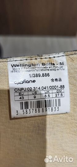 Сапоги мужские