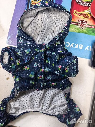 Вещи для собак мелких пород